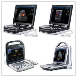 徐州凱信電子設(shè)備邀您共襄盛舉 2019第四屆江蘇畜牧業(yè)博覽會